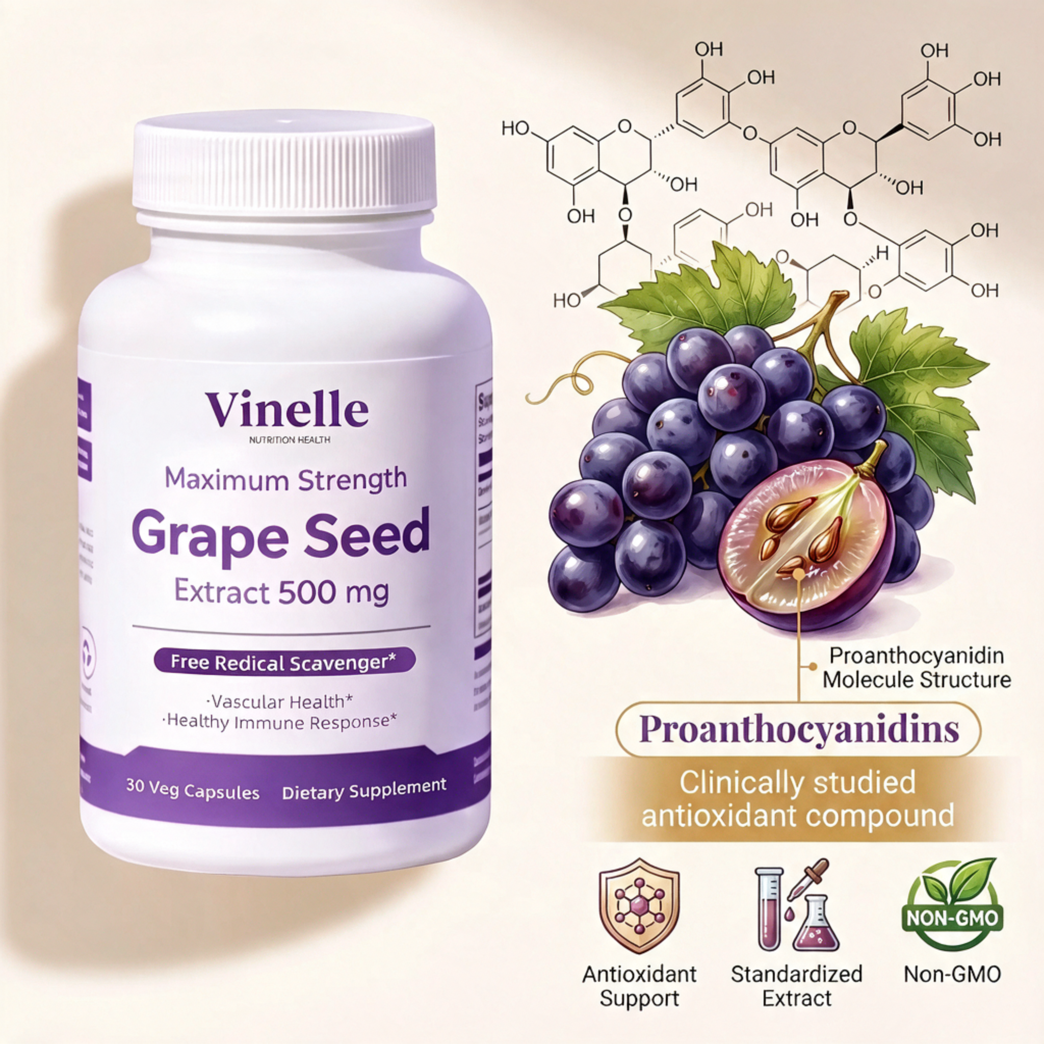 Vinelle Grape Seed Extract for Menopause Support